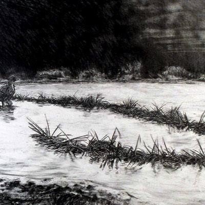 Shore Drawing